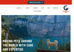 Portfolio 7 Airpets International